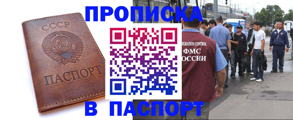 временная регистрация поиск в Тайге